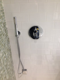 Shower Body and Handheld
